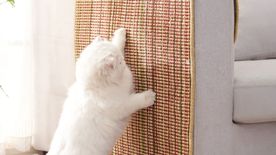 Premium Cat Anti-Scratch Mat – Furniture Protector for Cats